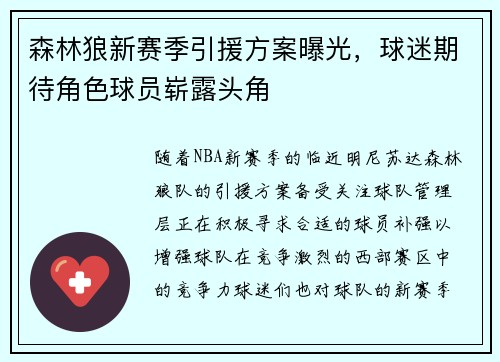 森林狼新赛季引援方案曝光，球迷期待角色球员崭露头角